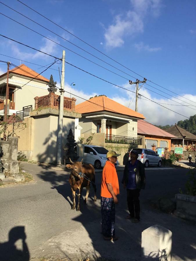The Villa'S Kubu Sandan Kintamani Εξωτερικό φωτογραφία